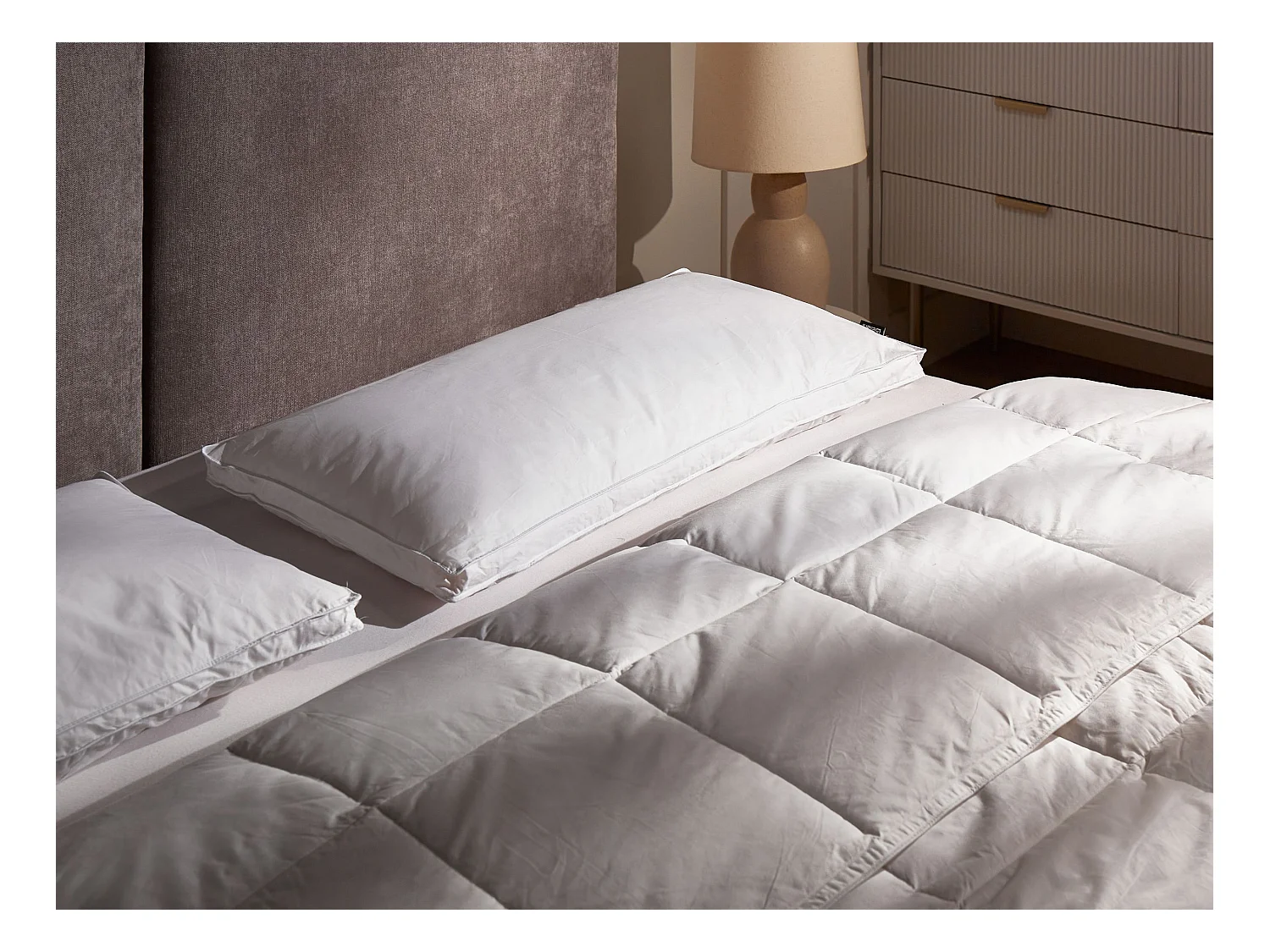 Lot de 2 oreillers FELDBERG Haut de plumes de canard 40 x 80 cm Blanc