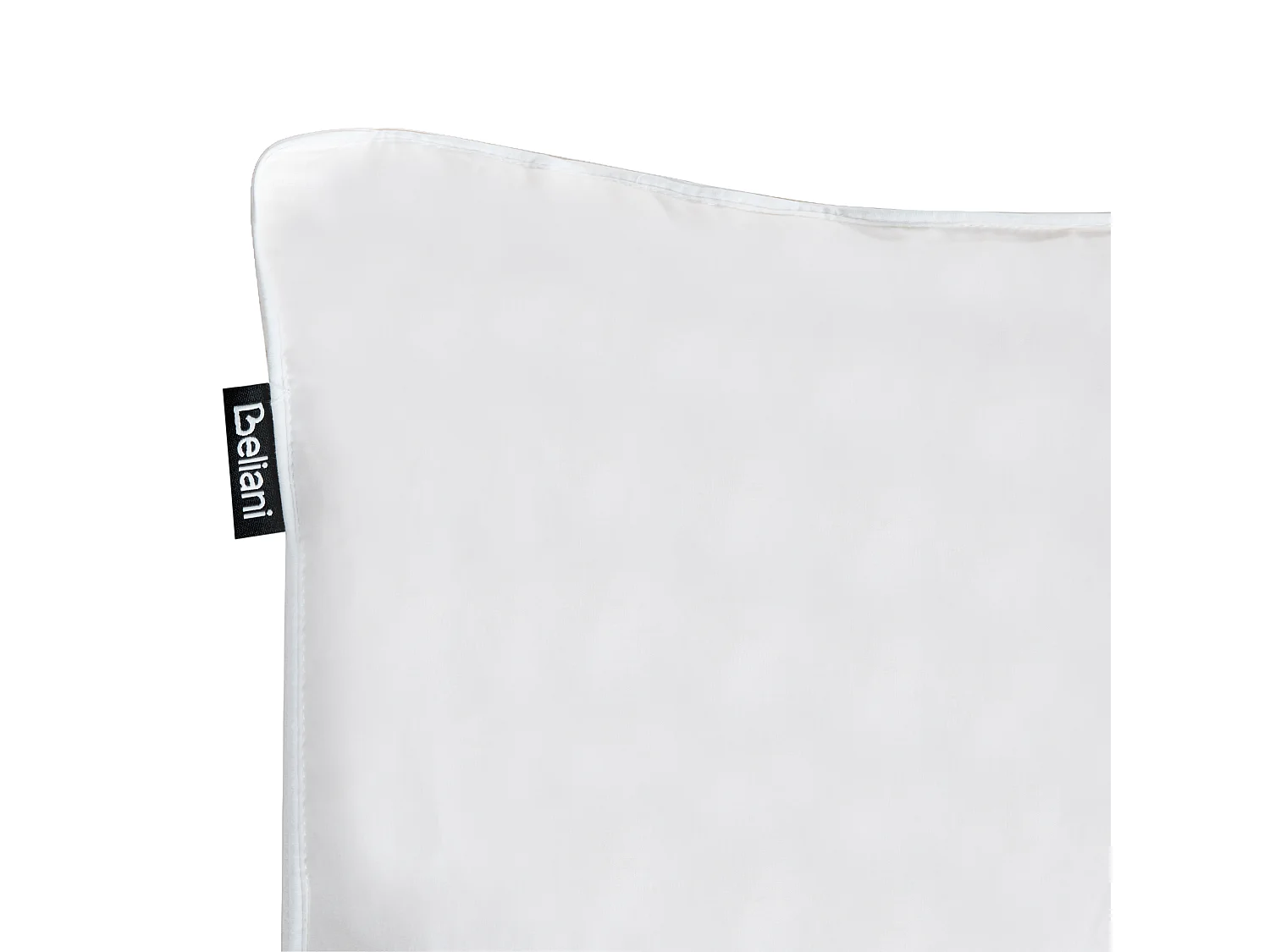 Lot de 2 oreillers FELDBERG Haut de plumes de canard 40 x 80 cm Blanc