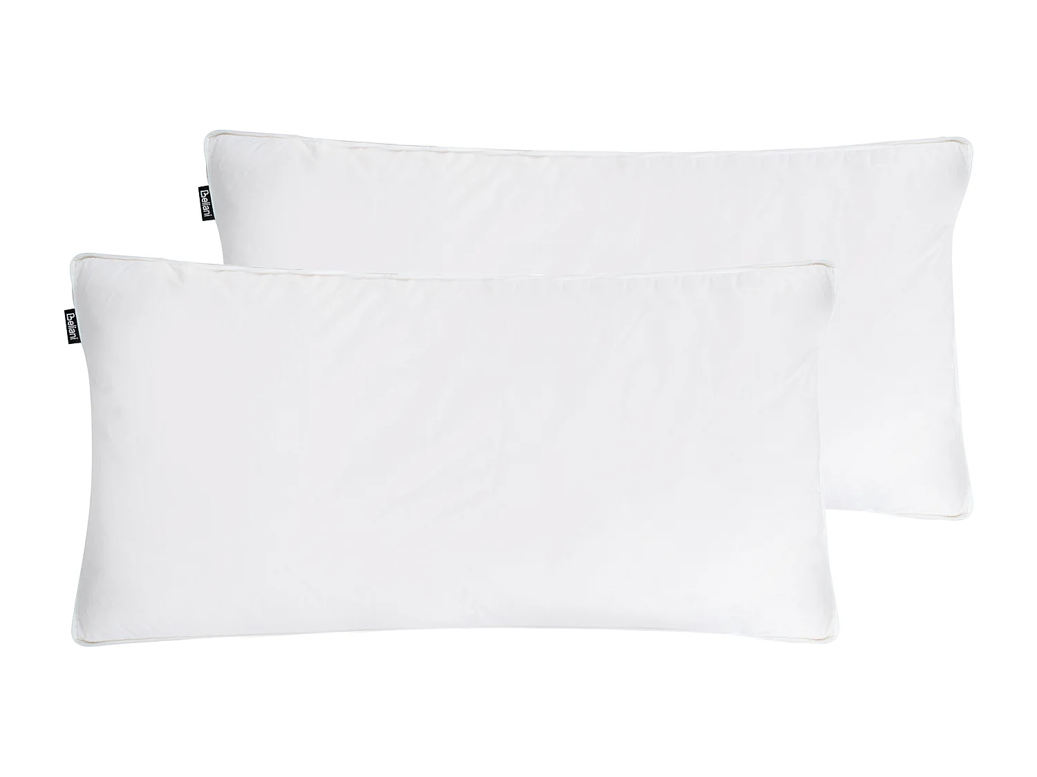 Lot de 2 oreillers VIHREN Bas 40 x 80 cm Blanc
