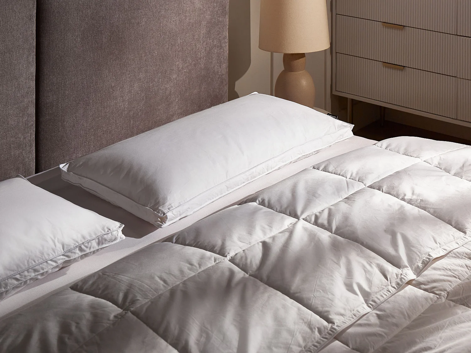 Lot de 2 oreillers VIHREN Bas 40 x 80 cm Blanc