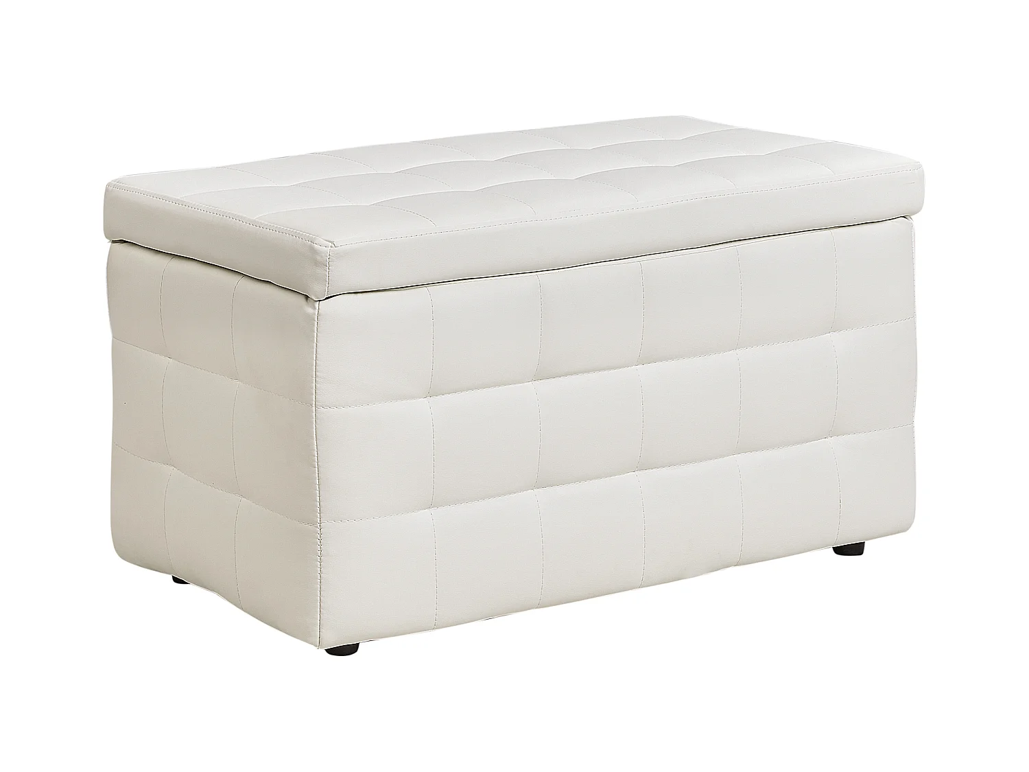 Pouf de rangement MICHIGAN Cuir PU Blanc
