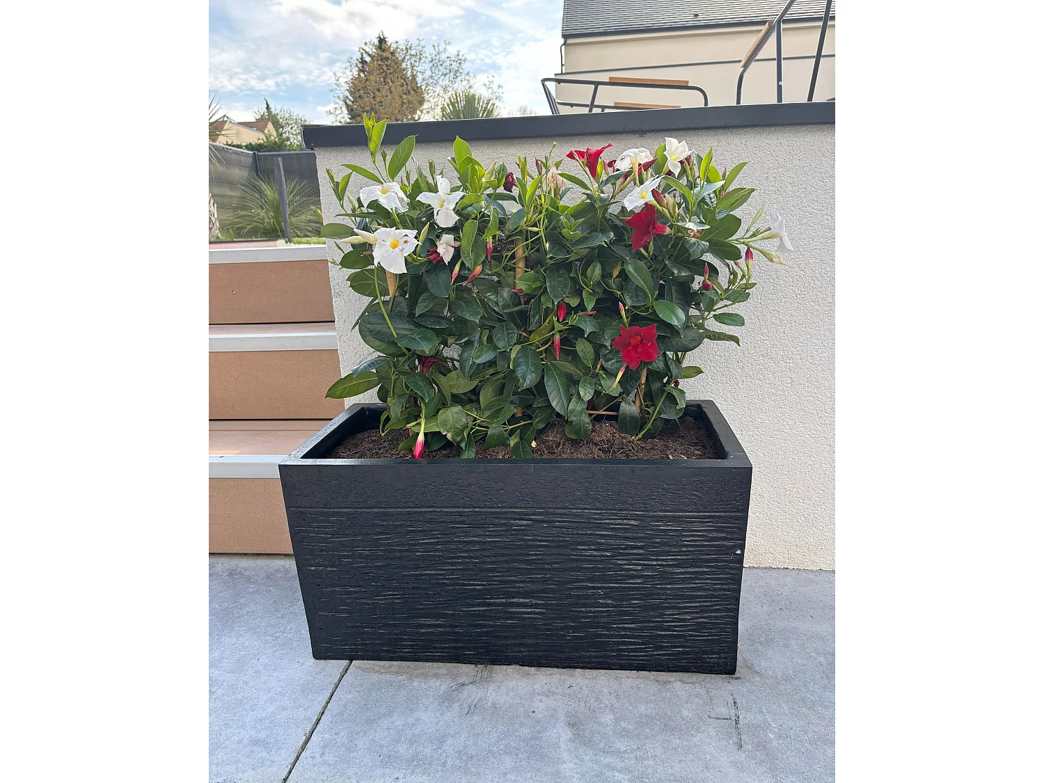 Cache-pot MYRA Céramique 60 cm Noir