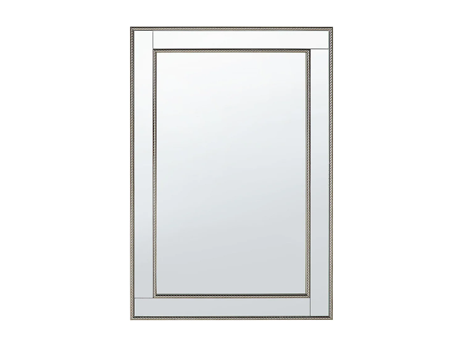 Wandspiegel mit verspiegeltem Rahmen silber / gold rechteckig 60 x 90 cm Fenioux