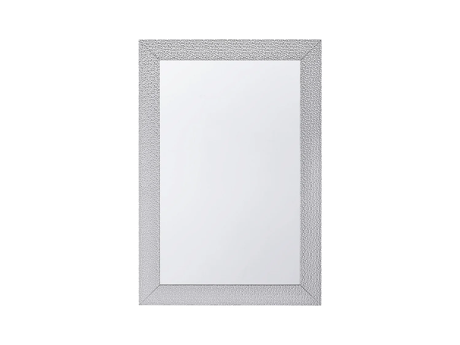 Wandspiegel MERVENT 61 cm 91 cm Zilver