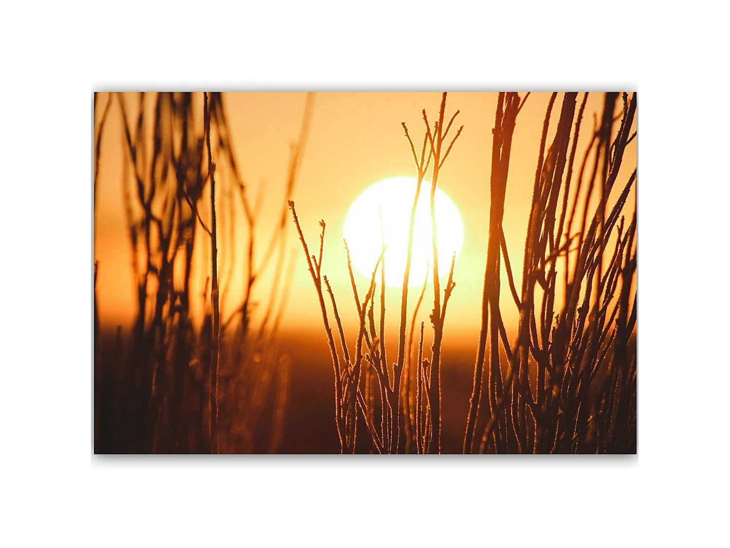 Tableau bois coucher de soleil 2 - 90 x 60 cm
