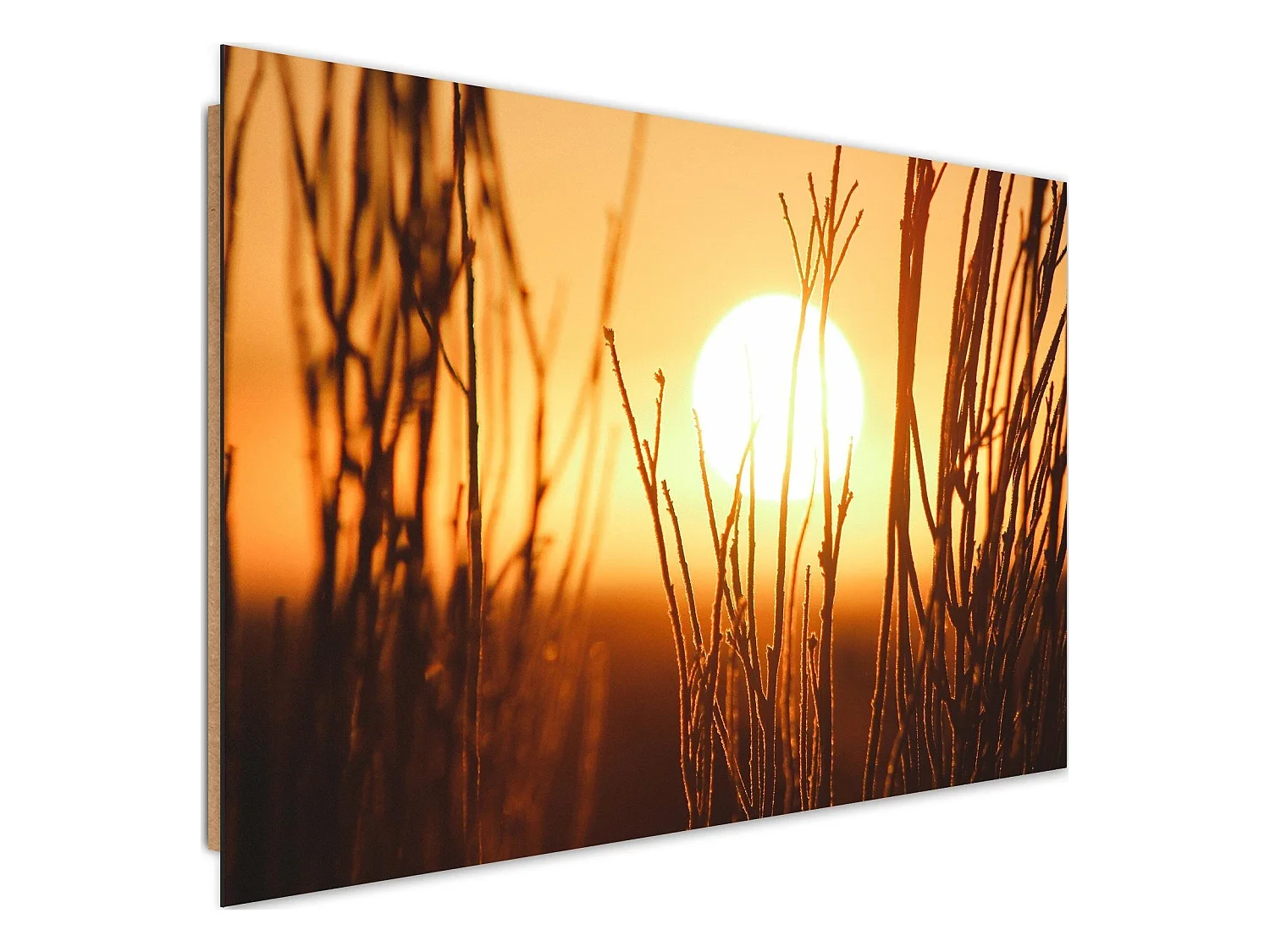 Tableau bois coucher de soleil 2 - 90 x 60 cm