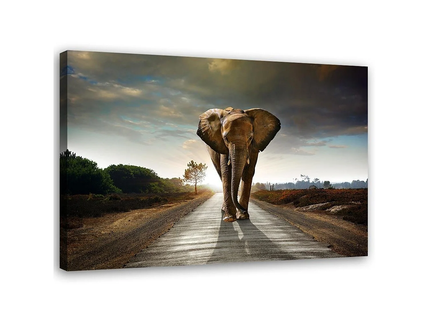 Tableau éléphant sur la route - 90 x 60 cm
