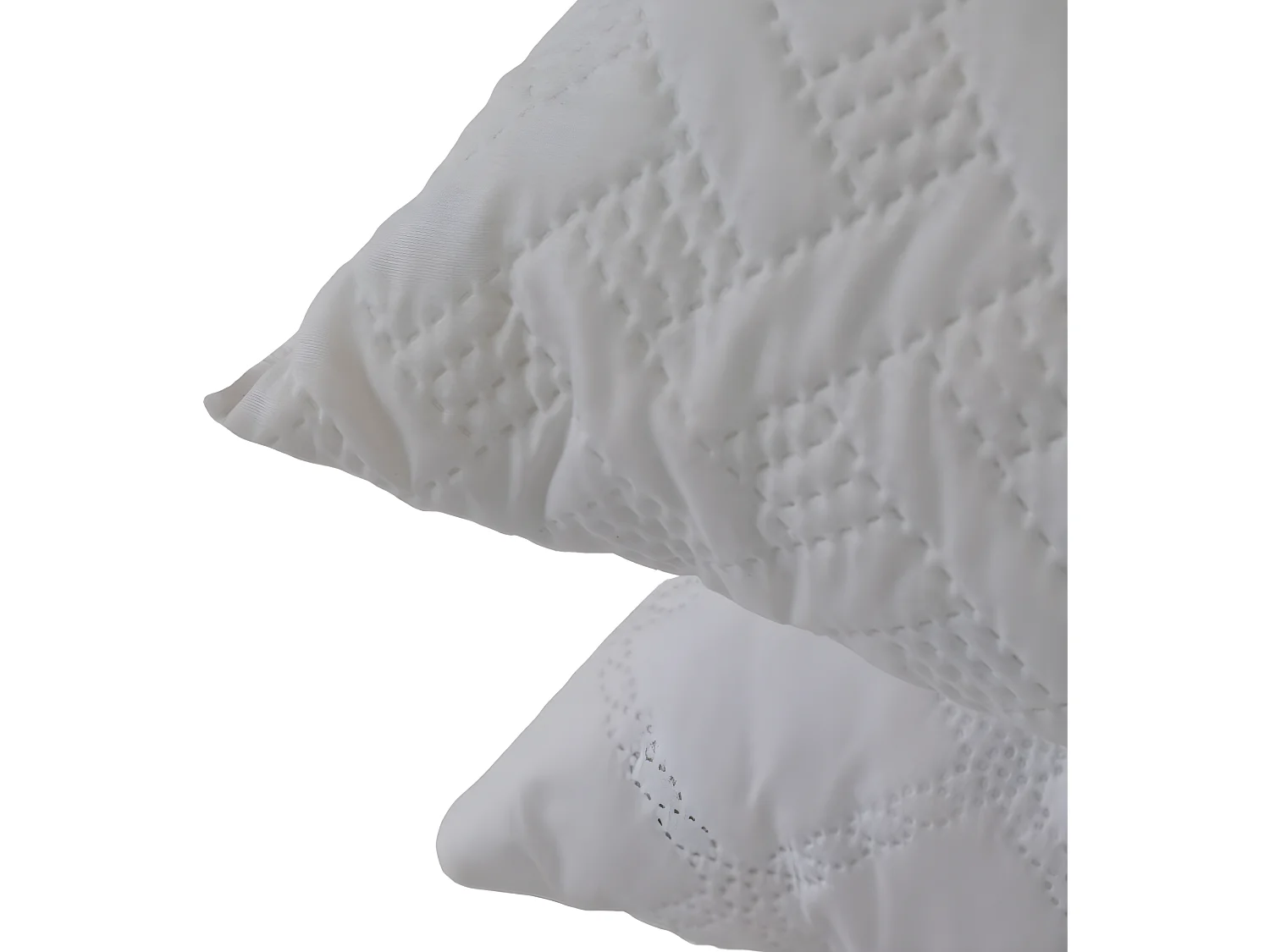 2 Oreillers en flocons accueil mémoire de forme - 60x60cm