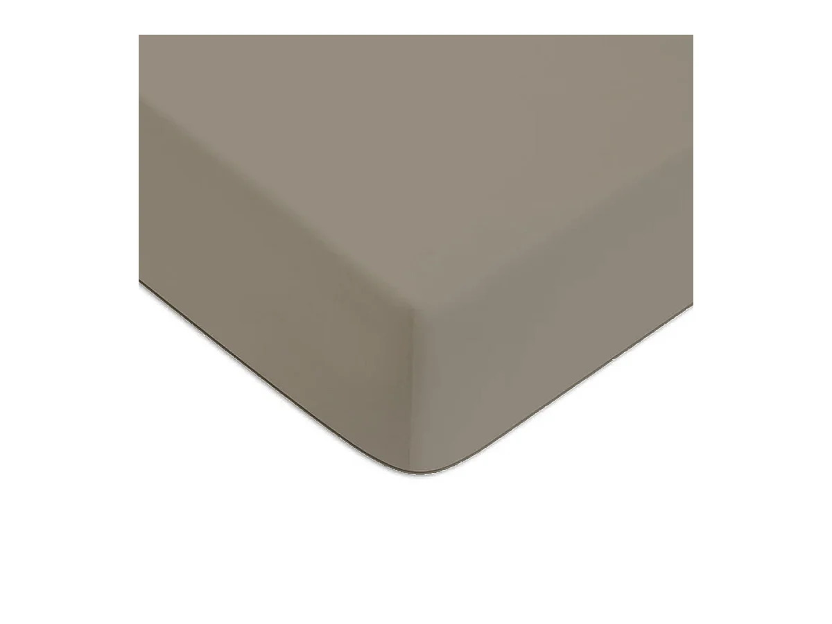 Drap housse en coton 57 fils uni bonnet 25cm vison 80x200cm