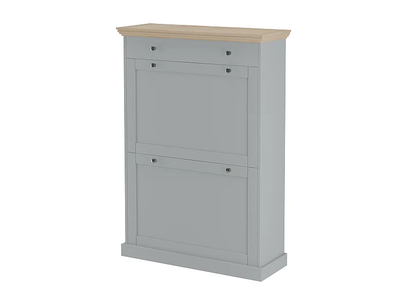 Binz|Coffre à chaussures 2 portes battantes et 1 tiroir en effet bois gris