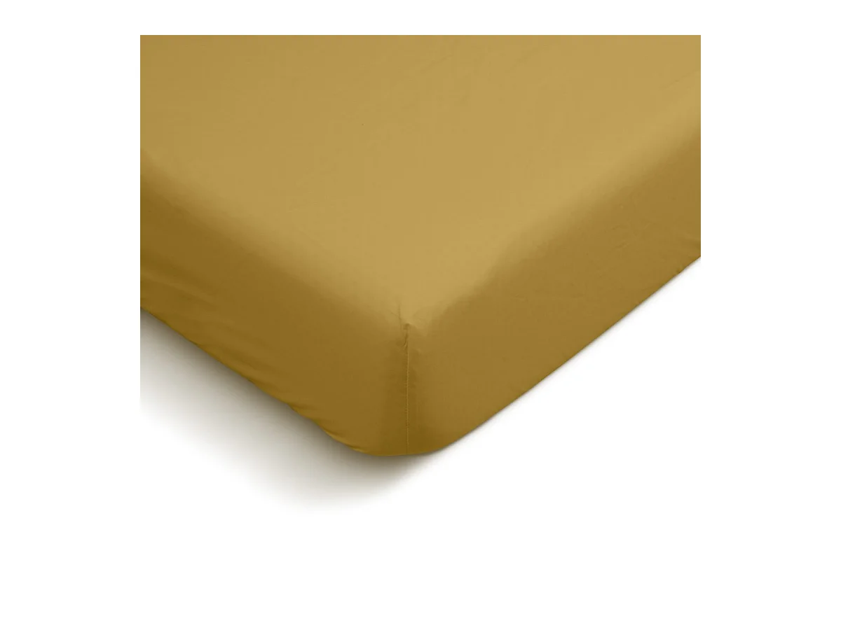 Drap housse uni 100% Percale de coton - Moutarde - 180x200cm