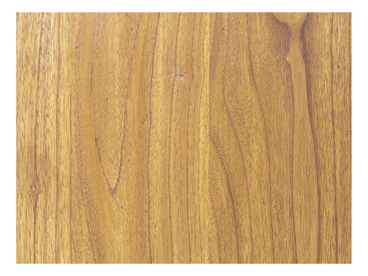 Armoire à vin et verres en bois de mindi - 15 casiers - L. 60 x P. 50 x H. 111 cm - COIMBRA