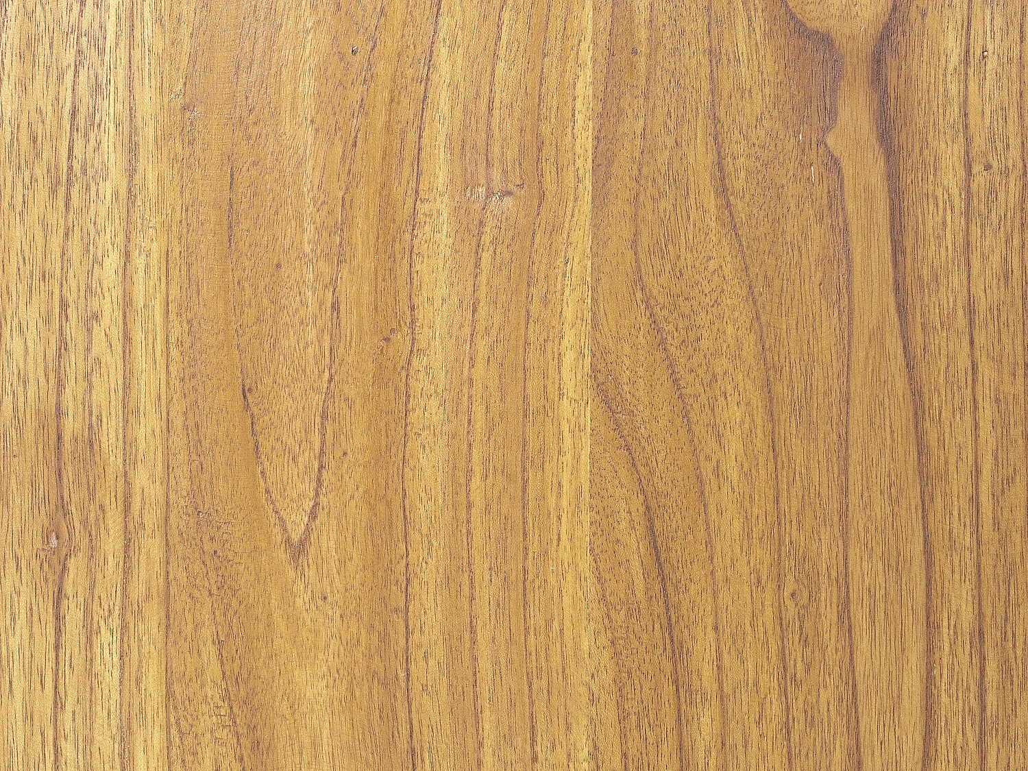 Armoire à vin et verres en bois de mindi - 15 casiers - L. 60 x P. 50 x H. 111 cm - COIMBRA