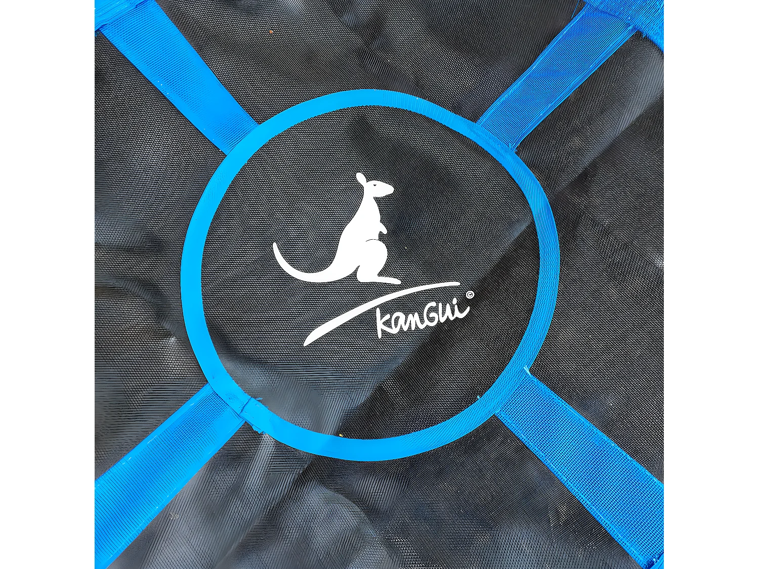 KANGUI - Balançoire ronde nid d'oiseau rond Ø100cm - Bleu - Charge 150kg maxi