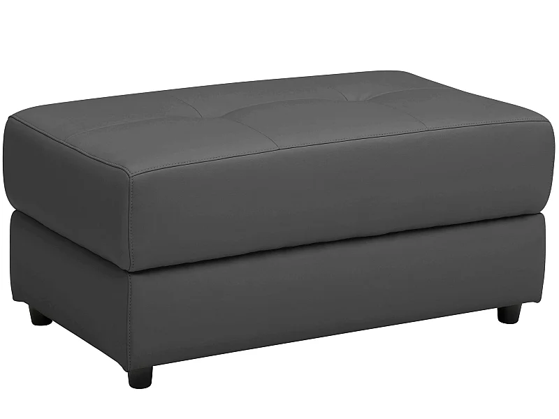 Rayland | Pouf en PU noir