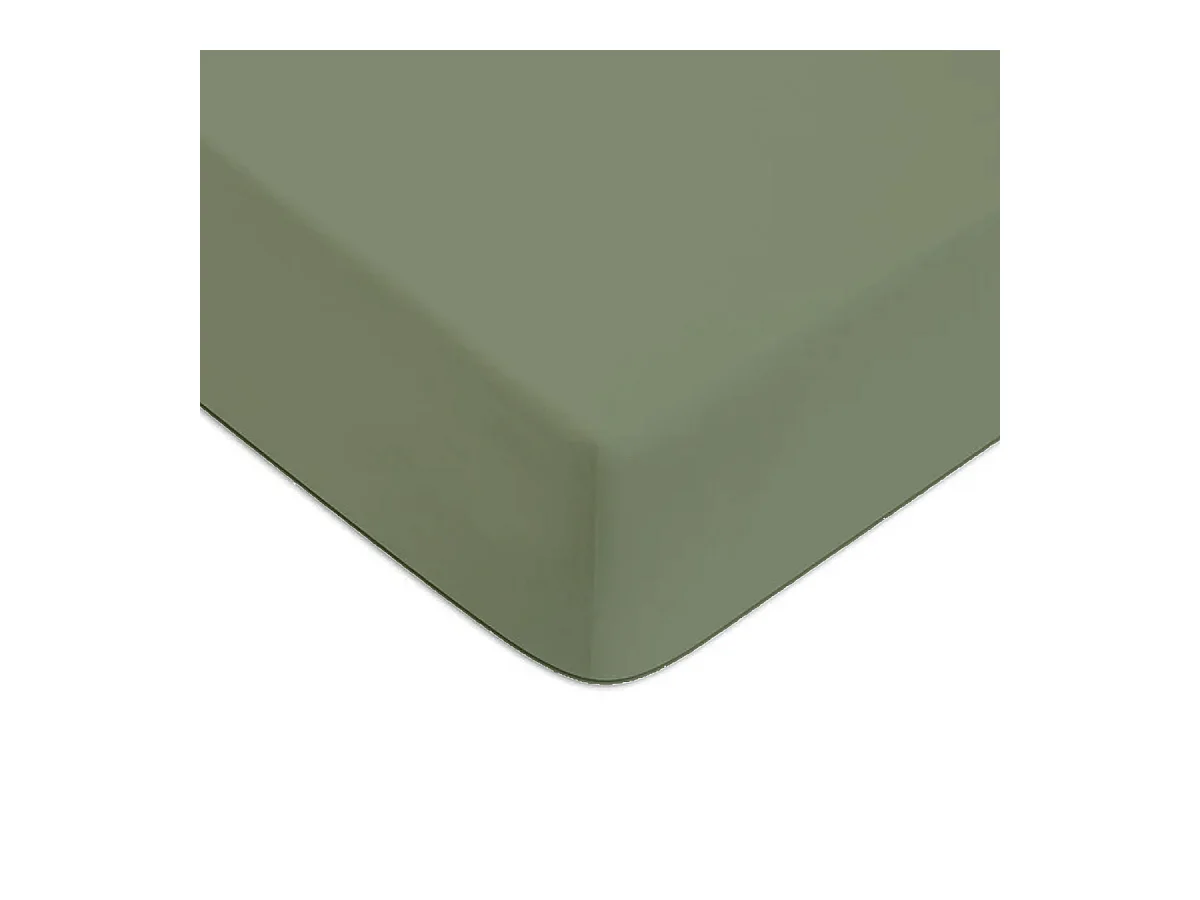 Drap housse en coton 57 fils uni bonnet 25cm sauge 90x200cm