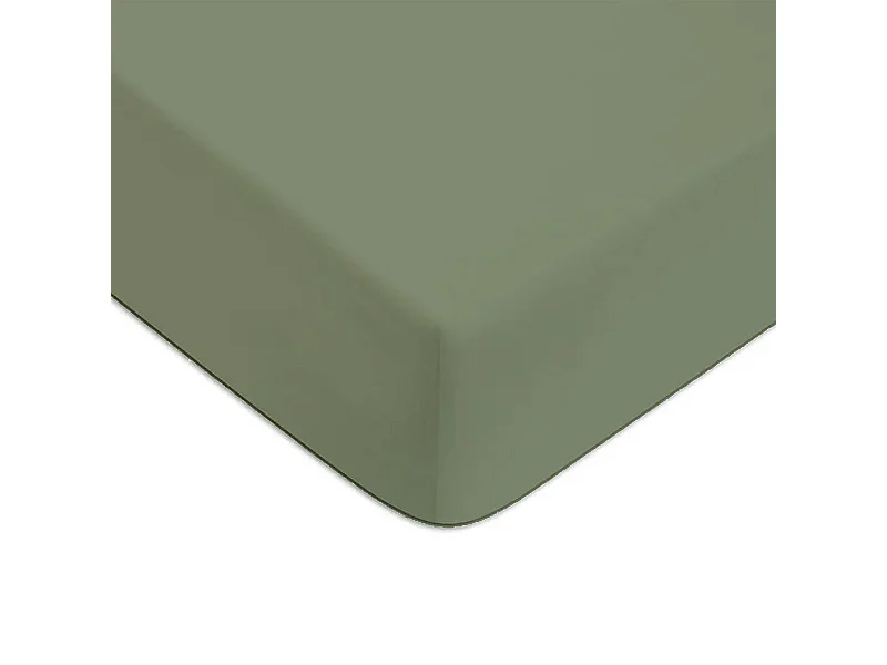 Drap housse en coton 57 fils uni bonnet 25cm sauge 90x200cm