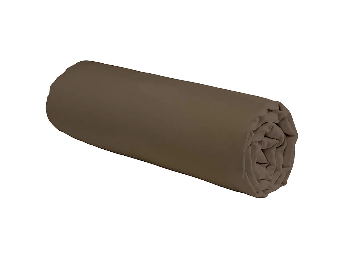 Drap housse en coton 57 fils uni bonnet 25cm taupe 90x190cm