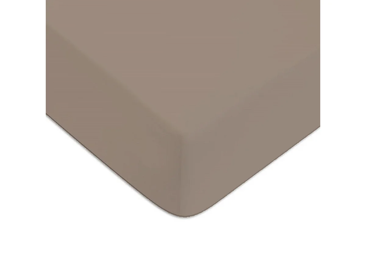 Drap housse en coton 57 fils uni taupe 90x190cm