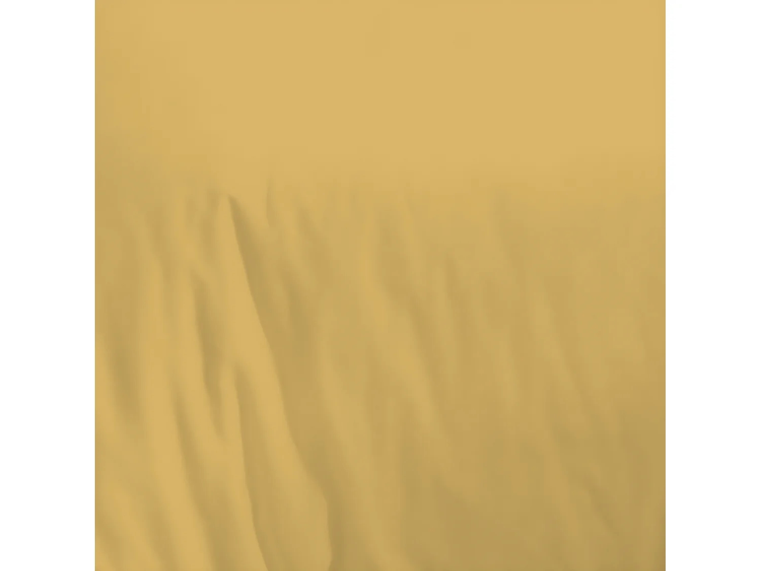 Housse de couette en coton 57 fils unie jaune moutarde 240x220cm