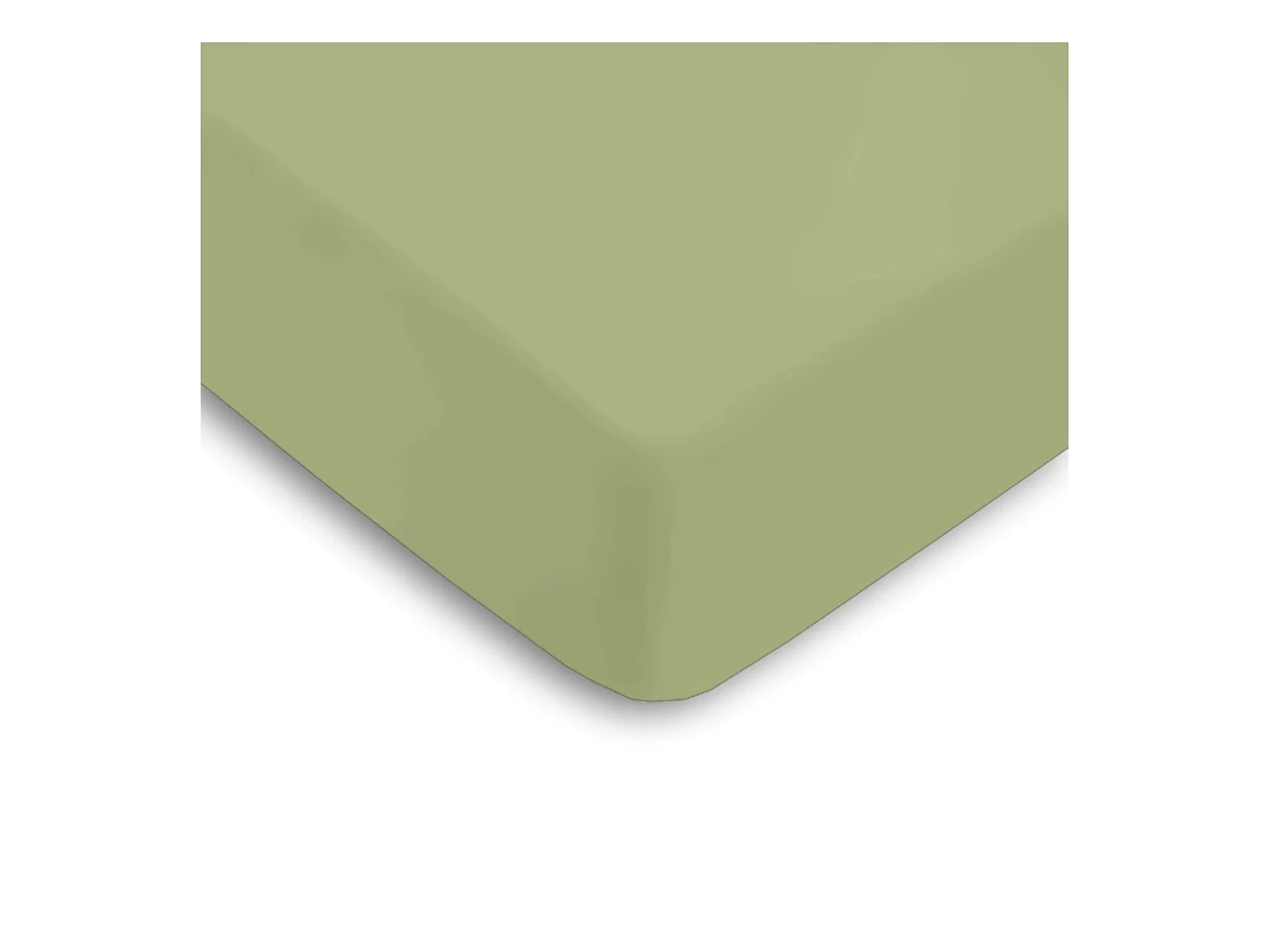 Drap housse percale sauge bonnet 30 cm 160x200