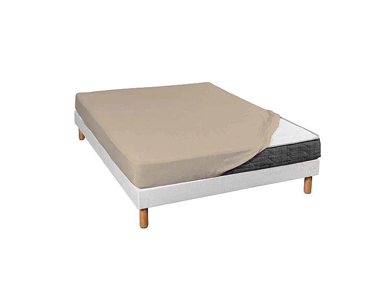 Drap housse jersey beige bonnet 30 cm 100% coton biologique 200x200
