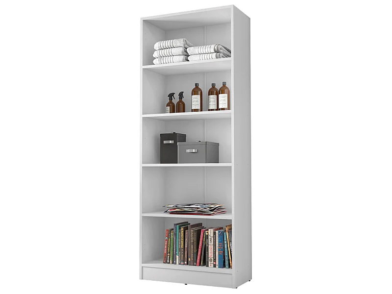 Armoire 2 Portes Blanche Mutifonctions 5 Niches L 61 H 160.6 P 31.8 cm