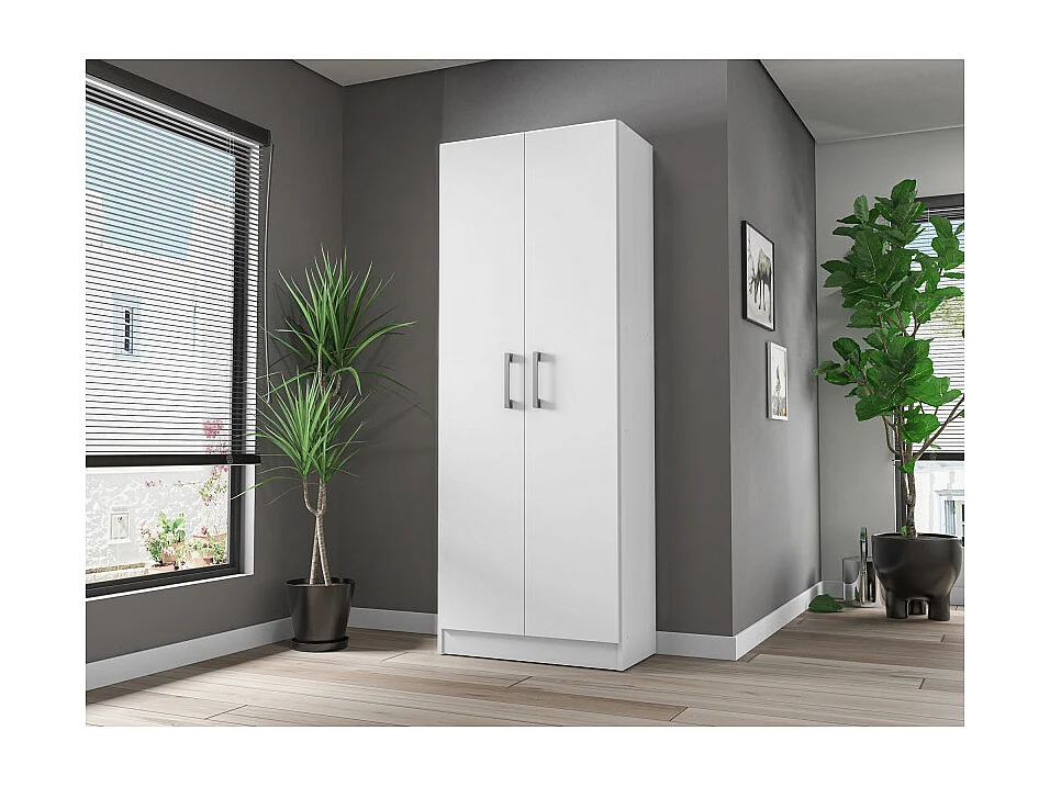 Armoire 2 Portes Blanche Mutifonctions 5 Niches L 61 H 160.6 P 31.8 cm