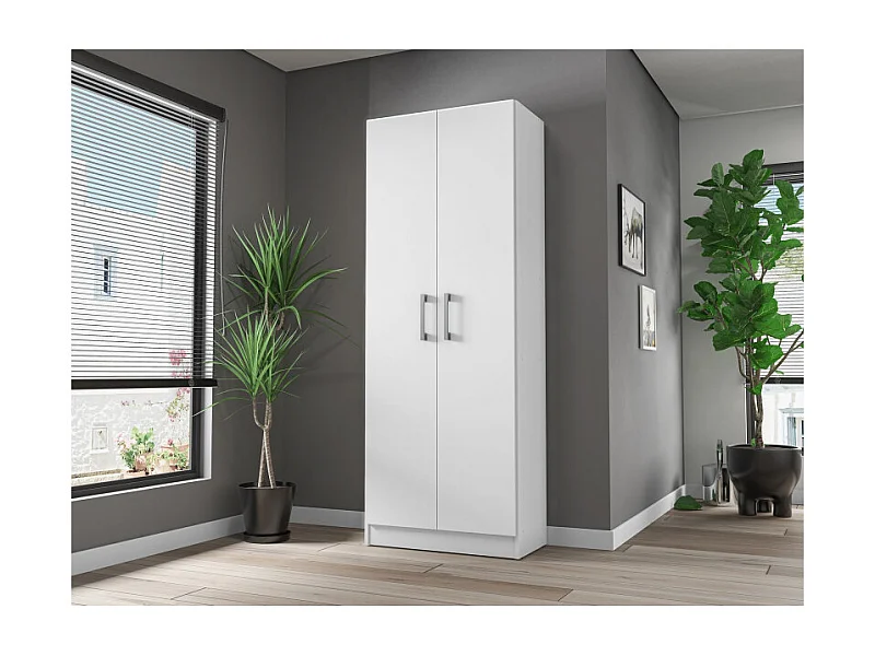 Armoire 2 Portes Blanche Mutifonctions 5 Niches L 61 H 160.6 P 31.8 cm