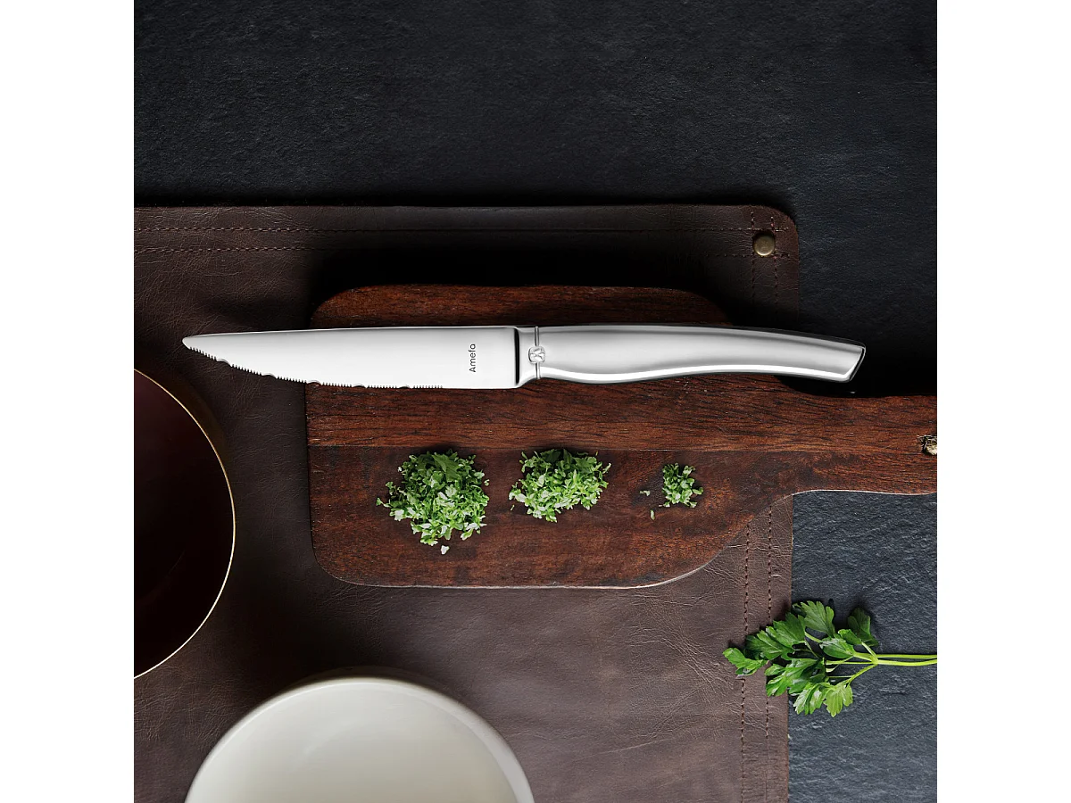 Goliath - Coffret magnet 6 couteaux steak