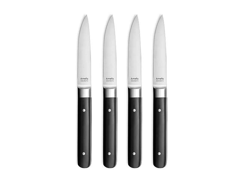 Set de 4 cuchillos para carne Fusion Noir - Hoja lisa y mango de ABS - 22 cm