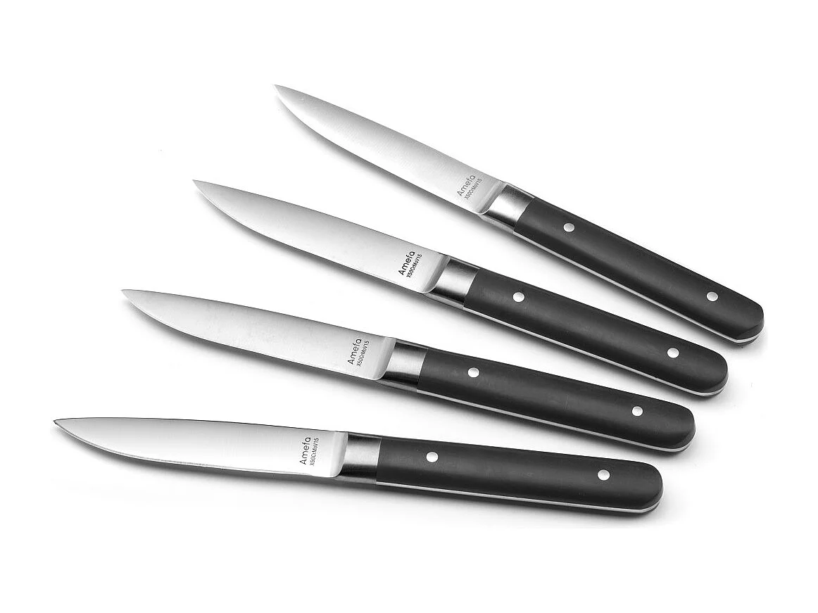 Set 4 Steakmesser Fusion Noir - Glattes Klinge und Griff aus ABS - 22 cm