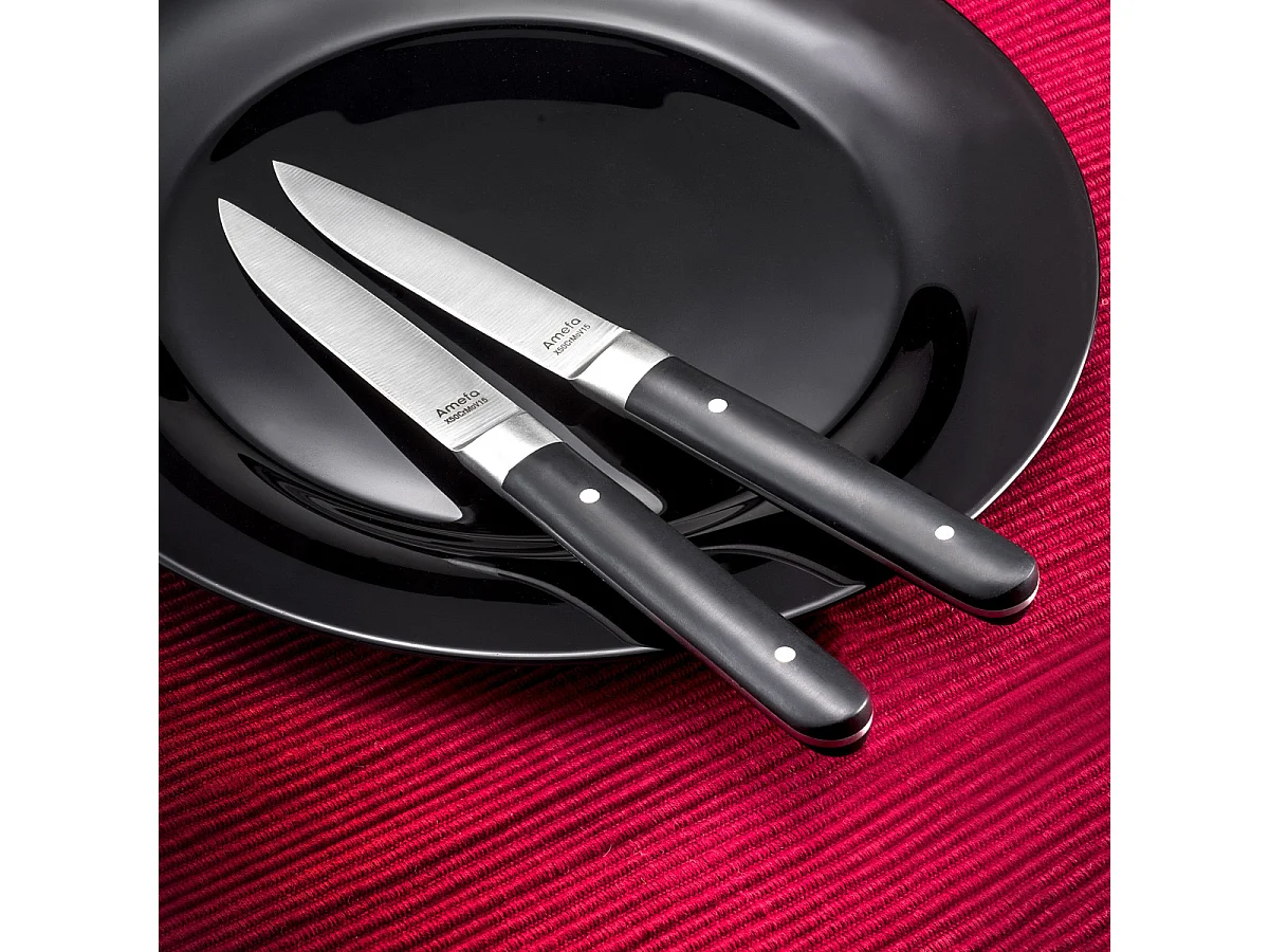 Set 4 Steakmesser Fusion Noir - Glattes Klinge und Griff aus ABS - 22 cm