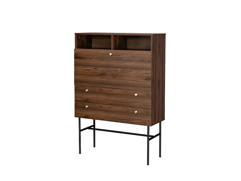 Secrétaire 1 porte battante 2 tiroirs - Bois et métal - L 90 x P 35 x H 110 - LODGE