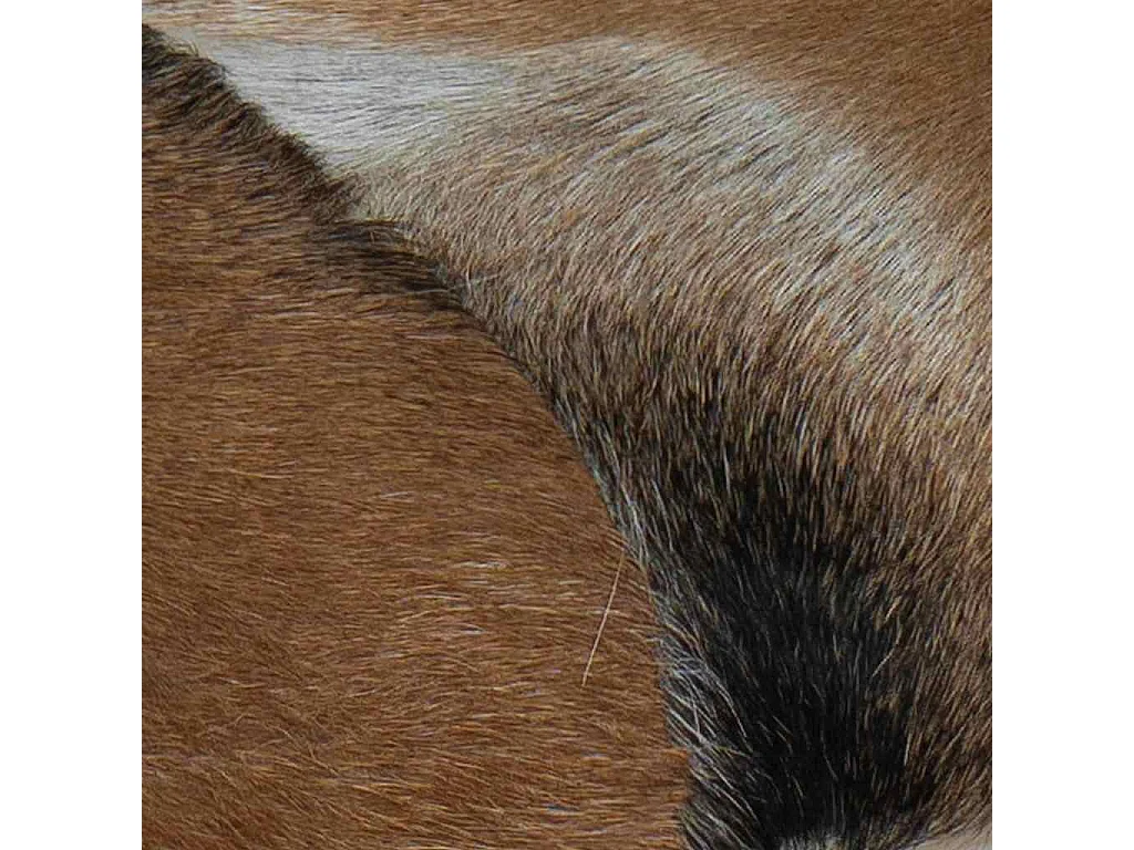 Bankje geitenleer teakhout