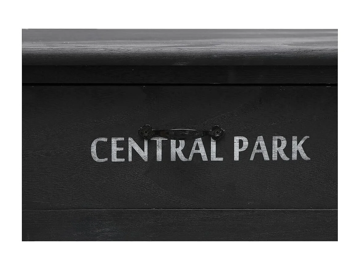 Mesa de centro 100x50x45 cm madeira preto