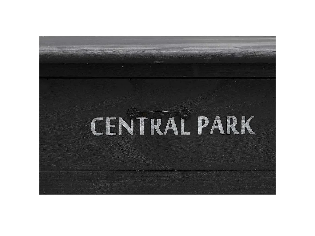 Table basse Noir 100x50x45 cm Bois