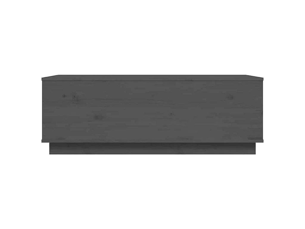 Table basse Gris 100x50x35 cm Bois massif de pin