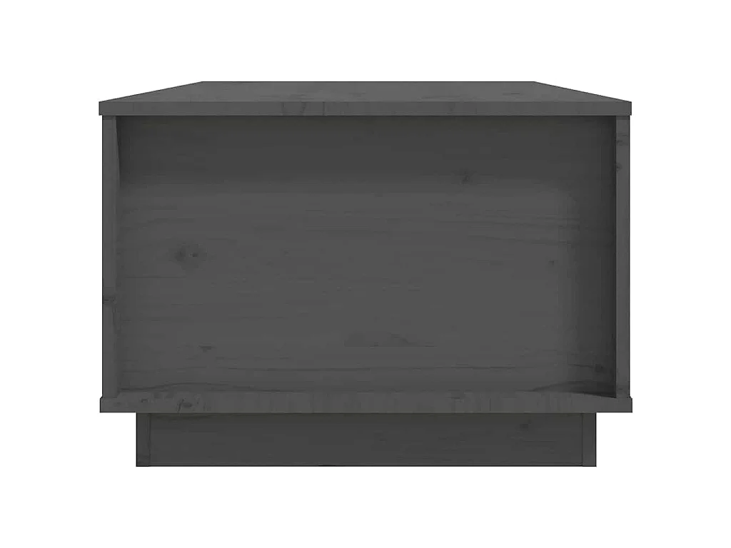 Table basse Gris 100x50x35 cm Bois massif de pin
