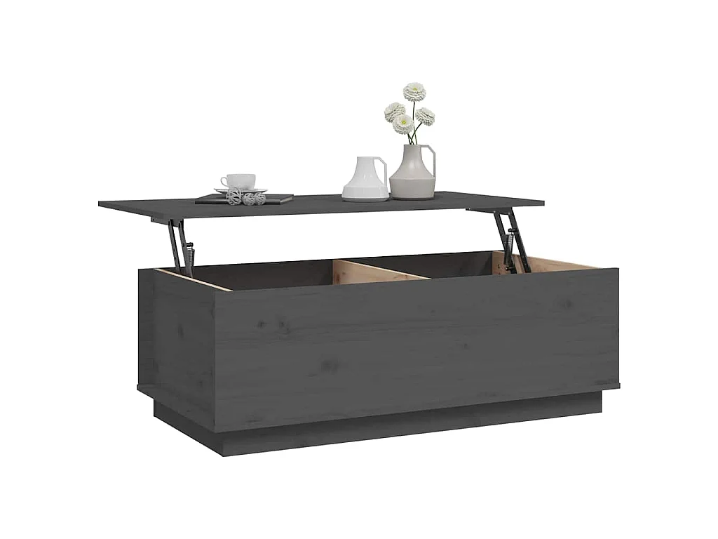 Table basse Gris 100x50x35 cm Bois massif de pin