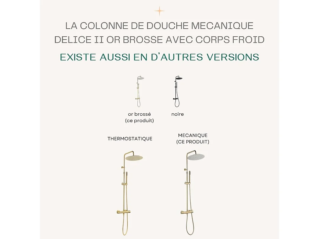 Delice II colonne de douche mécanique or brossé 300 - Essebagno
