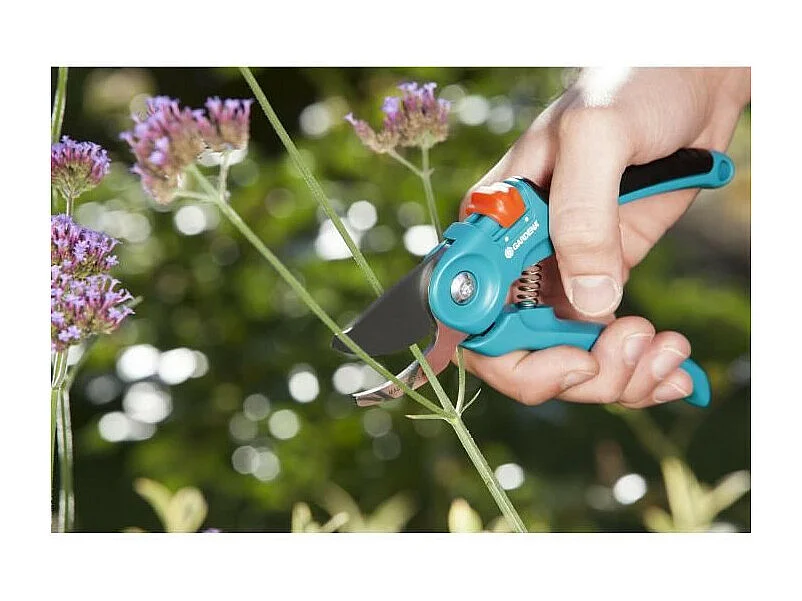 Verstellbare Gartenschere mit gerader Klinge Classic B/S - Ø20mm - Edelstahl - 25 Jahre Garantie