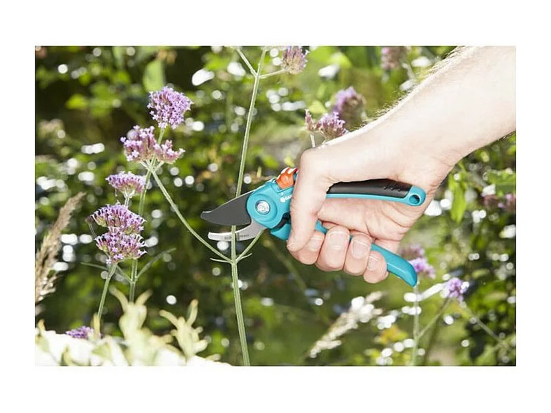 Verstellbare Gartenschere mit gerader Klinge Classic B/S - Ø20mm - Edelstahl - 25 Jahre Garantie