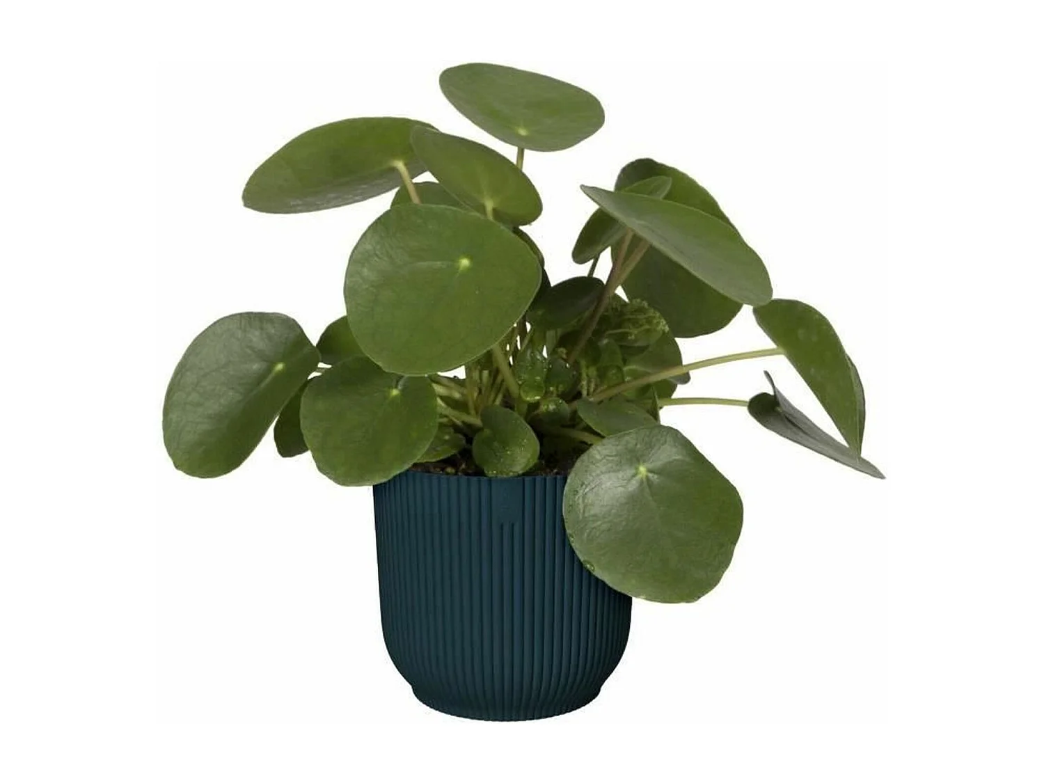 Pot de fleurs Rond VIBES - Plastique - Ø 25 - Bleu Foncé