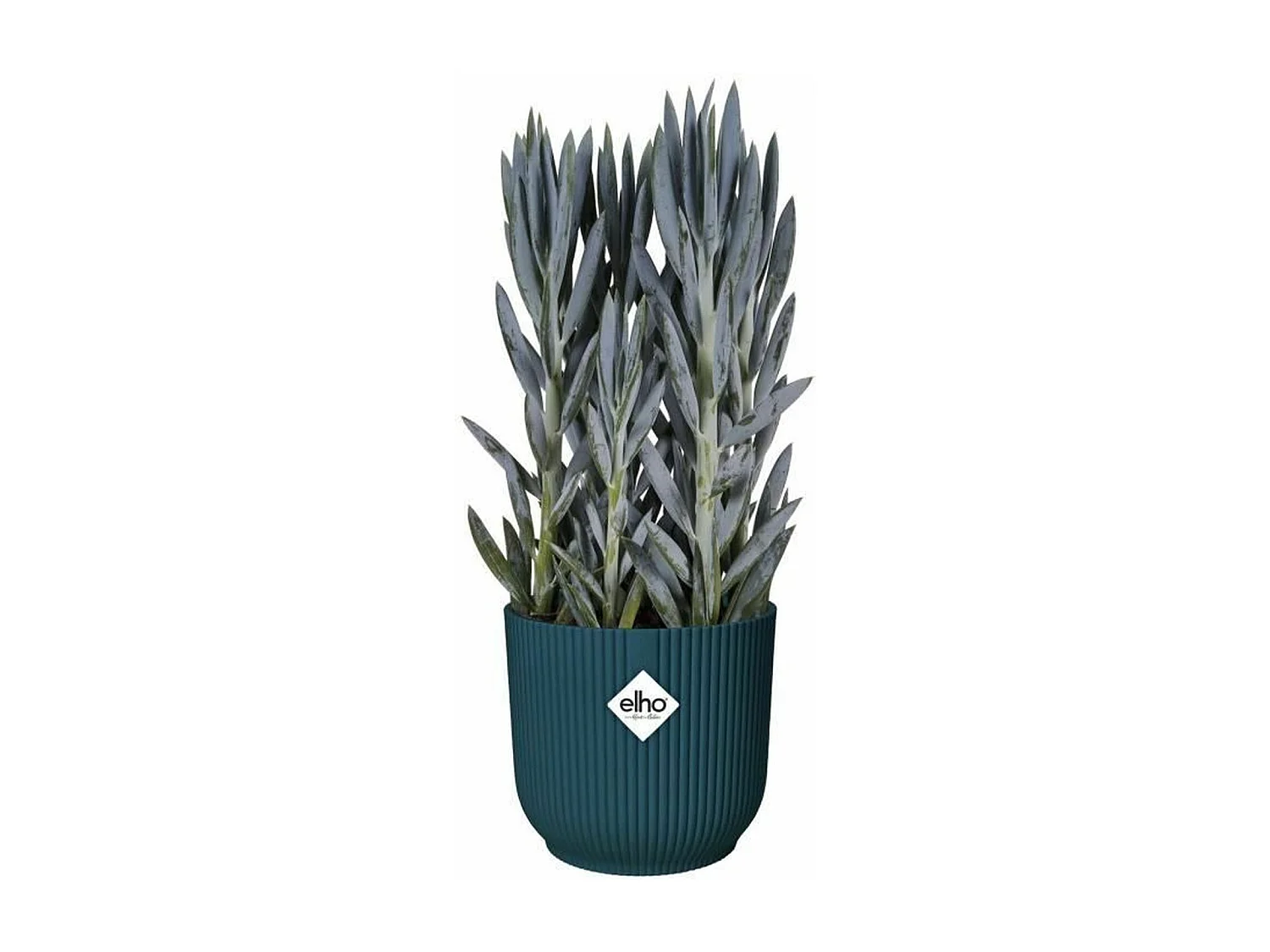 Pot de fleurs Rond VIBES - Plastique - Ø 25 - Bleu Foncé