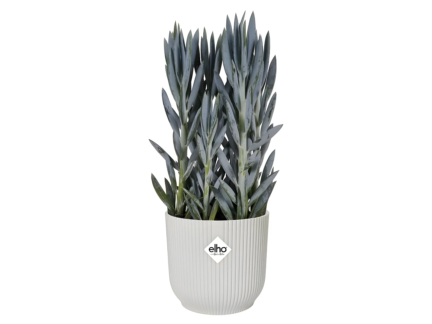 Pot De Fleurs Rond VIBES - Plastique - Ø22 - Blanc