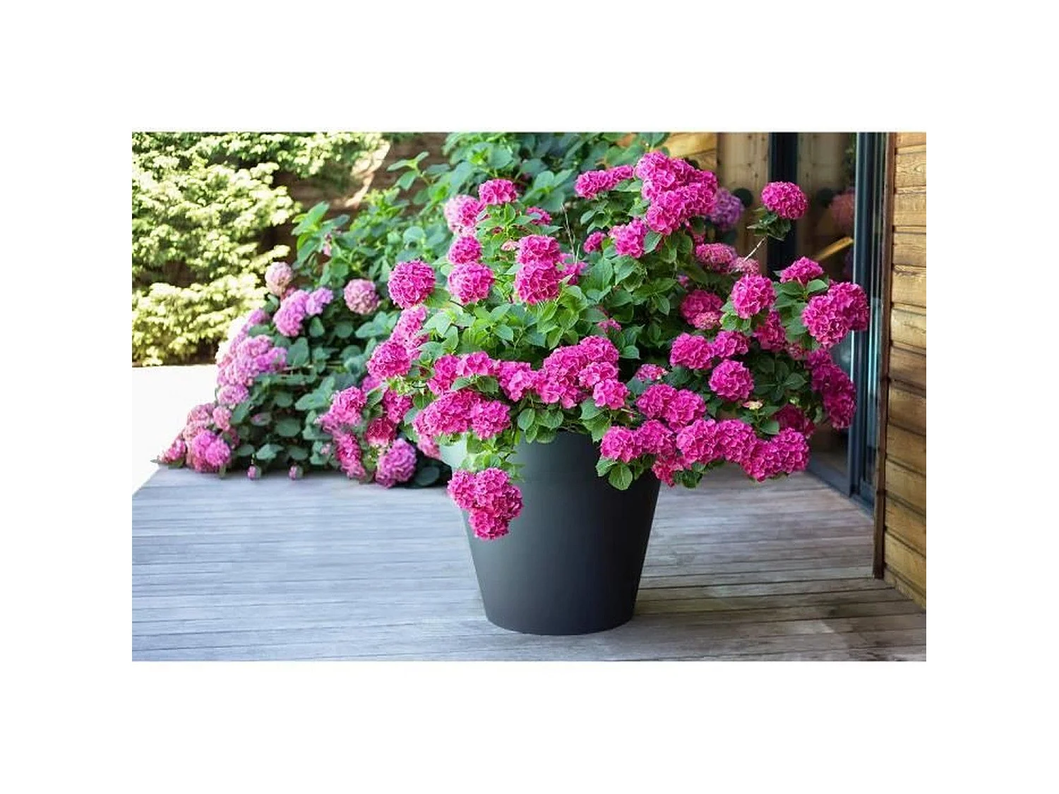 Runder Blumentopf Toscane Ø 60 x H.47 cm - Anthrazitgrau - EDA