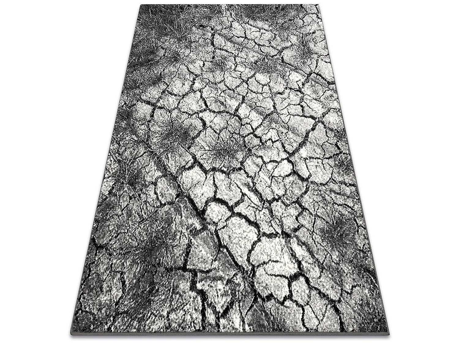 Tapis SILVER Terra sol fissuré gris 240x340 cm