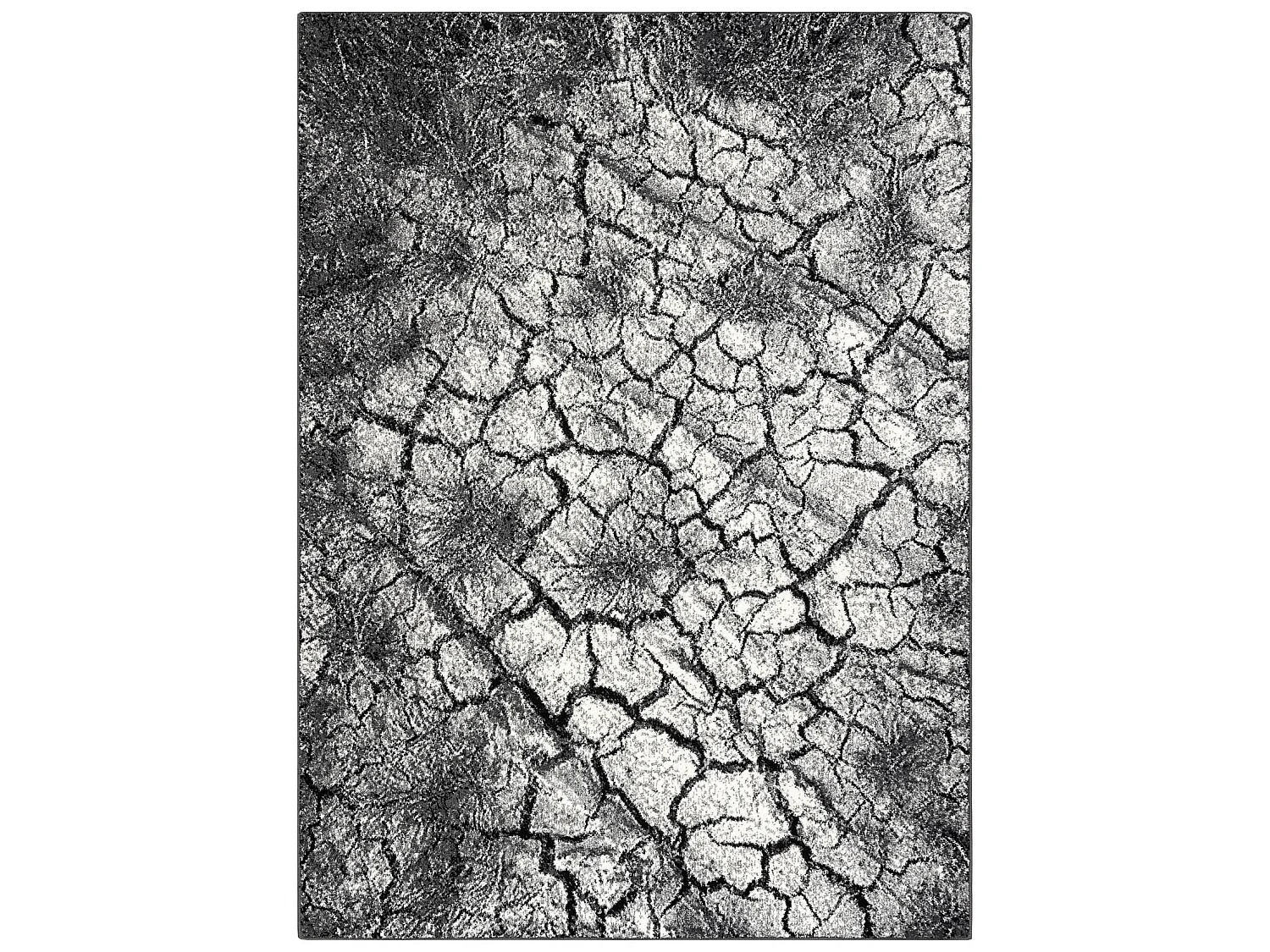 Tapis SILVER Terra sol fissuré gris 240x340 cm