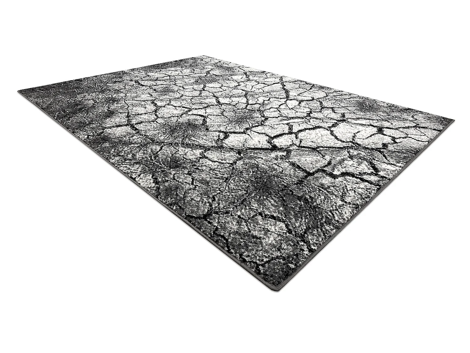 Tapis SILVER Terra sol fissuré gris 240x340 cm